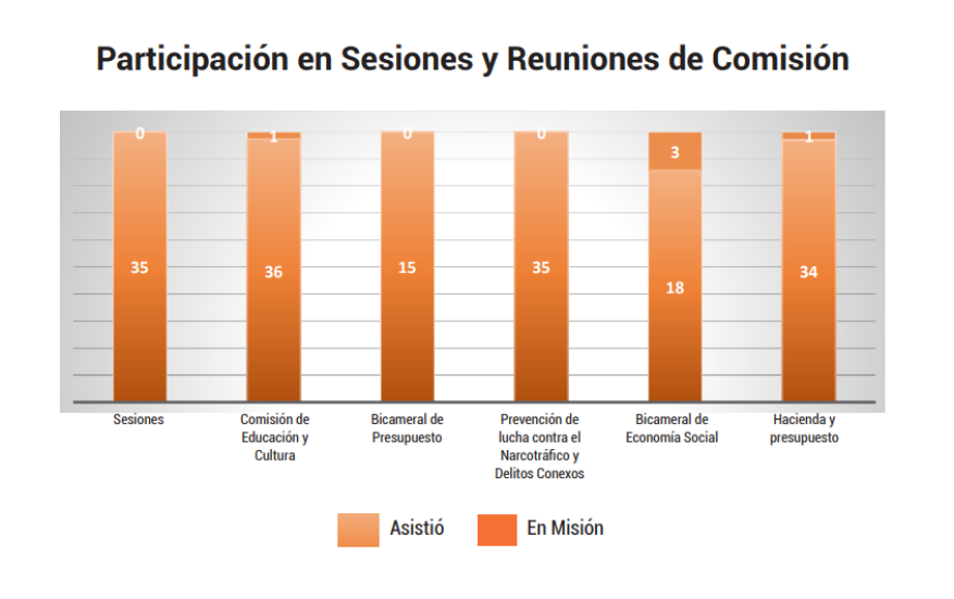 participacion en sesiones y reuniones de comision
